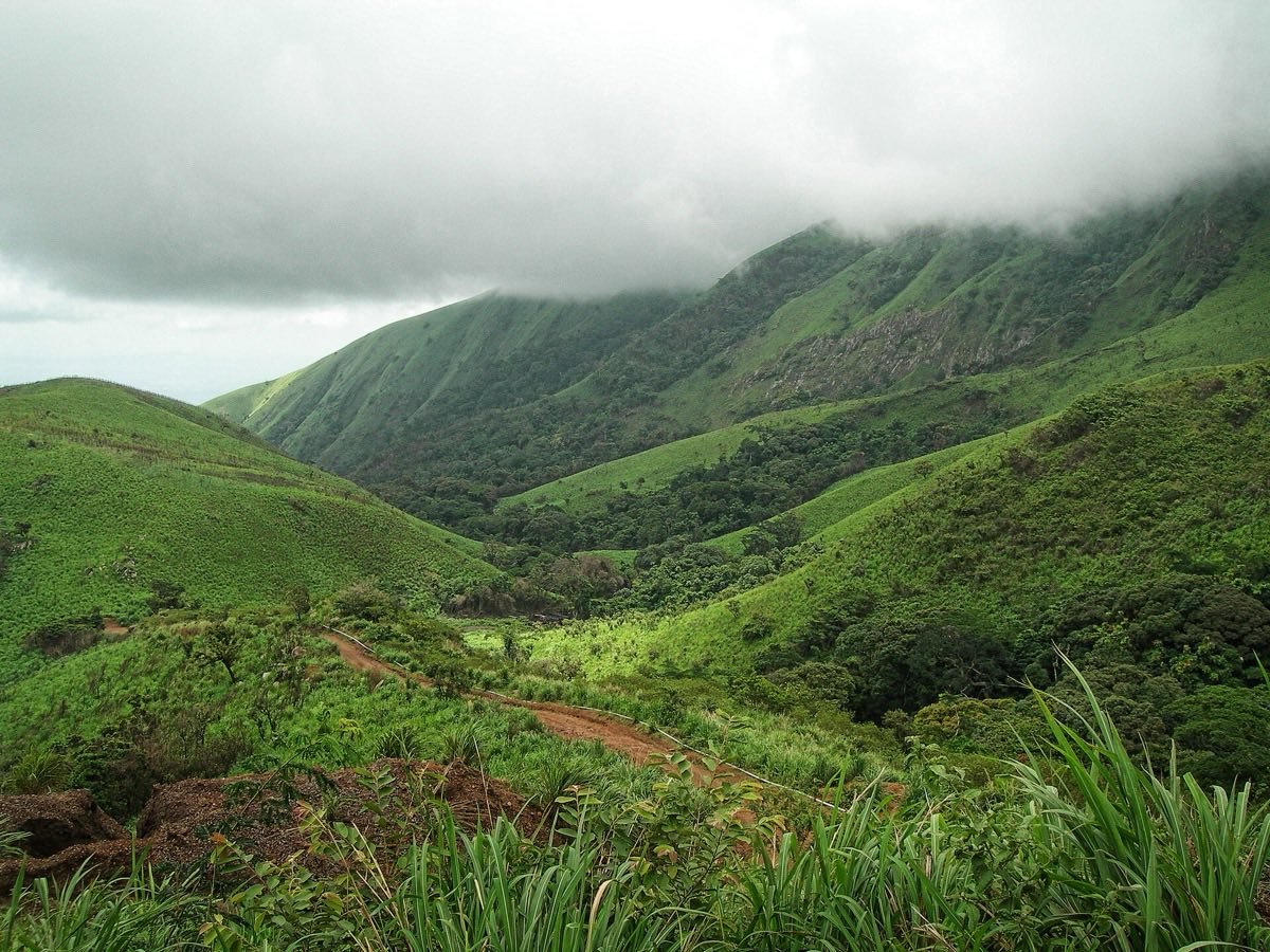 The Nimba range, Simandou's iron-rich neighbour in Guinea's forest region